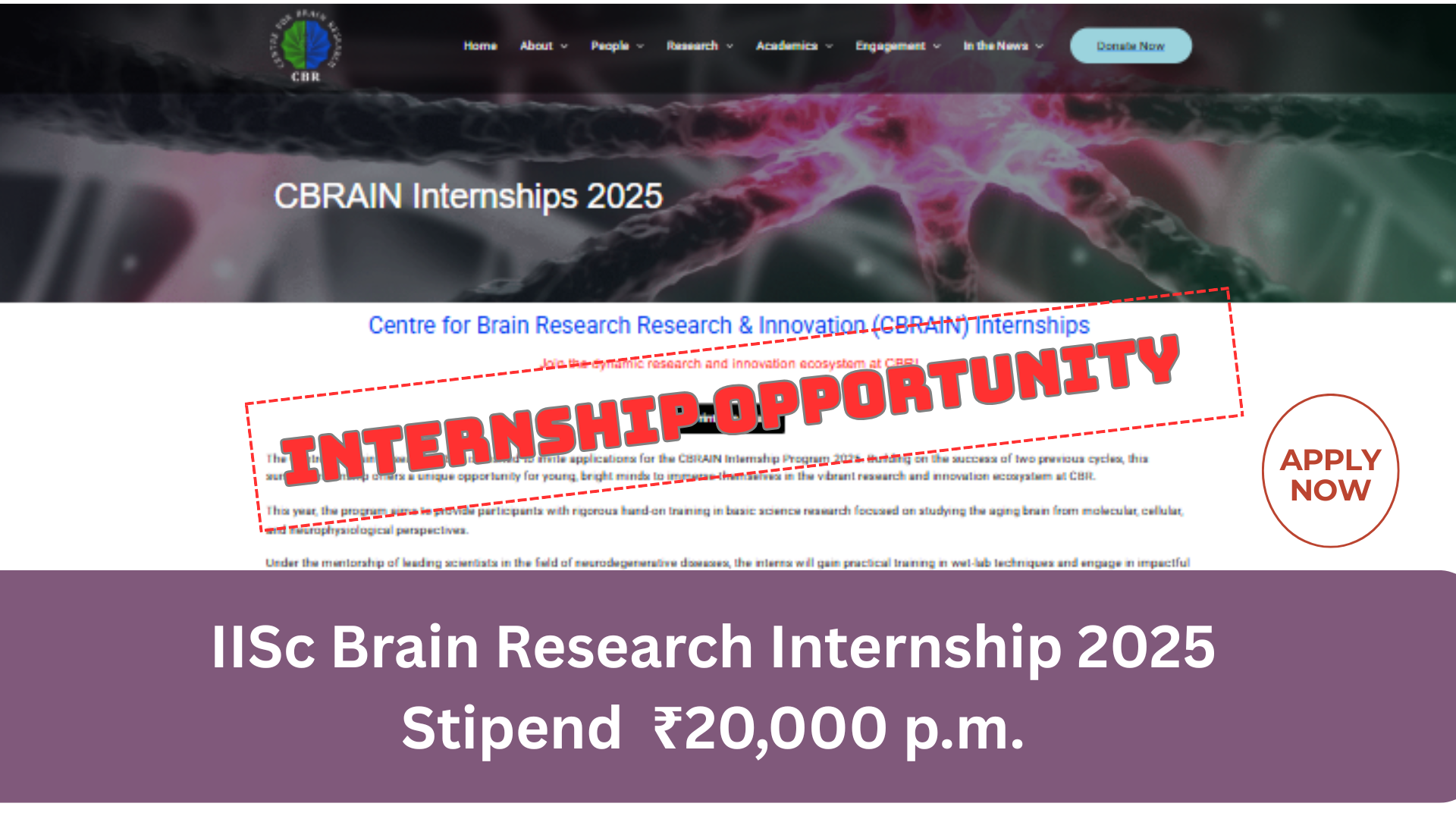 IISc Brain Research Internship 2025